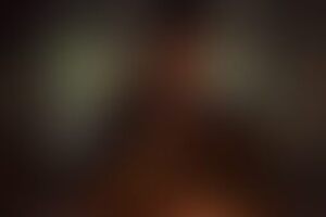 Фотография квеста Шерлок от компании IQuest (Фото 1)